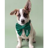 Lusi Doog İsme Özel Dişi Köpek Papyonu ve Boyun Tasması İsimli Papyonlu Tasma Papyon Seti I Küçük, Orta ve Büyük Irk Köpekler I Renk Seçenekli (Yeşil, M)