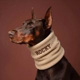 Lusi Doog İsme Özel Köpek Atkısı I Kişiselleştirilebilir Kışlık Köpek Polar I Fular - Bandana I Küçük, Orta ve Büyük Irk I Renk Seçenekli (Bej, Medium)
