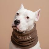 Lusi Doog İsme Özel Köpek Atkısı I Kişiselleştirilebilir Kışlık Köpek Polar I Fular - Bandana I Küçük, Orta ve Büyük Irk I Renk Seçenekli (Kahverengi, Medium)