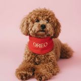 Lusi Doog İsme Özel Köpek Atkısı I Kişiselleştirilebilir Kışlık Köpek Polar I Fular - Bandana I Küçük, Orta ve Büyük Irk I Renk Seçenekli (Kırmızı, X-Large)