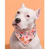 Lusi Doog İsme Özel Köpek Bandana İsimli Köpek Fular Kişiselleştirilebilir Bandana (Yünlü Ekoseli) I Küçük, Orta ve Büyük Irk I Renk Seçenekli (Bej, Small)