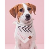Lusi Doog İsme Özel Köpek Bandana İsimli Köpek Fular Kişiselleştirilebilir Bandana (Yünlü Ekoseli) I Küçük, Orta ve Büyük Irk I Renk Seçenekli (Beyaz, Small)