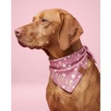 Lusi Doog İsme Özel Köpek Bandana İsimli Köpek Fular Kişiselleştirilebilir Bandana (Yünlü Ekoseli) I Küçük, Orta ve Büyük Irk I Renk Seçenekli (Bordo, Small)