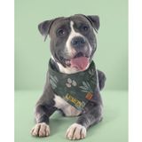 Lusi Doog İsme Özel Köpek Bandana İsimli Köpek Fular Kişiselleştirilebilir Bandana (Yünlü Ekoseli) I Küçük, Orta ve Büyük Irk I Renk Seçenekli (Yeşil, Medium)