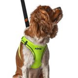 Lusi Doog Kişiye Özel Airmesh Köpek Göğüs Tasması İsimli Göğüs Tasması I Küçük ve Orta Irk Köpekler I Renk Seçenekli (Fosforlu Yeşil, 2XS)