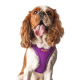Lusi Doog Kişiye Özel Airmesh Köpek Göğüs Tasması İsimli Göğüs Tasması I Küçük ve Orta Irk Köpekler I Renk Seçenekli (Mor, XS)