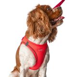 Lusi Doog Kişiye Özel Airmesh Köpek Göğüs Tasması İsimli Göğüs Tasması I Küçük ve Orta Irk Köpekler I Renk Seçenekli (Pembe, XS)