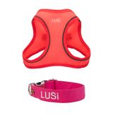 Lusi Doog Kişiye Özel İsimli Air Mesh Göğüs Tasması ve İsimli Köpek Tasması I 2'li Set I Küçük ve Orta Irk Köpekler I Renk Seçenekli (Pembe, XS)