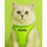 Lusi Doog Kişiye Özel Kedi Gezdirme Tasması Airmesh İsimli Kedi Göğüs Tasması Esnek Kedi Tasması (Fosforlu Yeşil, S)