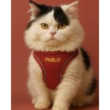 Lusi Doog Kişiye Özel Kedi Gezdirme Tasması Airmesh İsimli Kedi Göğüs Tasması Esnek Kedi Tasması (Kırmızı, S)