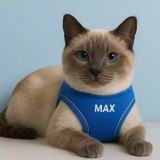 Lusi Doog Kişiye Özel Kedi Gezdirme Tasması Airmesh İsimli Kedi Göğüs Tasması Esnek Kedi Tasması (Mavi, L)