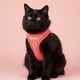 Lusi Doog Kişiye Özel Kedi Gezdirme Tasması Airmesh İsimli Kedi Göğüs Tasması Esnek Kedi Tasması (Pembe, 2XS)