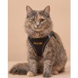 Lusi Doog Kişiye Özel Kedi Gezdirme Tasması Airmesh İsimli Kedi Göğüs Tasması Esnek Kedi Tasması (Siyah, XS)