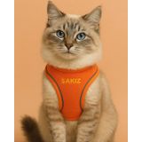 Lusi Doog Kişiye Özel Kedi Gezdirme Tasması Airmesh İsimli Kedi Göğüs Tasması Esnek Kedi Tasması (Turuncu, S)