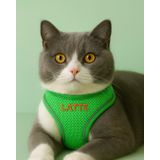 Lusi Doog Kişiye Özel Kedi Gezdirme Tasması Airmesh İsimli Kedi Göğüs Tasması Esnek Kedi Tasması (Yeşil, 2XS)