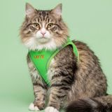 Lusi Doog Kişiye Özel Kedi Gezdirme Tasması Airmesh İsimli Kedi Göğüs Tasması Esnek Kedi Tasması (Yeşil, S)