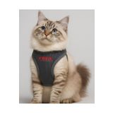 Lusi Doog Kişiye Özel Kedi Gezdirme Tasması Airmesh İsimli Kedi Göğüs Tasması Esnek Kedi Tasması