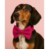 Lusi Doog Köpek Tasması Papyonlu Papyonlu Köpek Tasması Boyun Tasması I Küçük, Orta ve Büyük Irk Köpekler I Renk Seçenekli (Pembe, S)