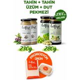 Lutfiye Organik 4’lü Tahin Pekmez Seti – 2 Tahin, Dut ve Üzüm Pekmezi (2 x 280G + 2 x 230G) - 1,02 kg