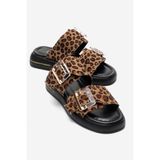 LuviShoes ZLEY Siyah Sarı Desenli Şeffaf Tokalı Kadın Terlik