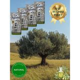 Lux Ayvalık Natural Sızma Zeytinyağı | 4’lü Fırsat Paket 4*5 Lt - 20 lt