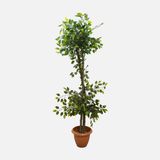 Lux Benjamin Yapay Bitki 160cm