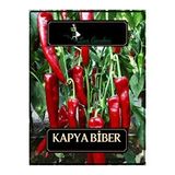 Lux Garden Kapya Biber Tohumu 110 Adet
