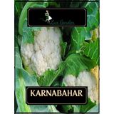 Lux Garden Karnabahar Tohumu 8 Adet