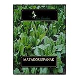 Lux Garden Matador Ispanak Tohumu 40 Adet