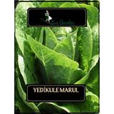 Lux Garden Yedikule Marul Tohumu 300 Adet