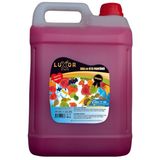 Luxor Kimya Tutti Frutti Ev ve Oto Kokusu 5 Lt