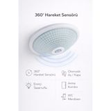luxshome Sensörlü Tavan 360° Hareket Sensörlü Tavan Armatürü Lamba Apartman Merdiven Boşluğu E27 Duylu