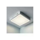 Luxshome Tavana Sıfır Kare Led Panel Lamba Glop Aplik Armatür Avize Gün Işığı Renk Koridor Balkon Hol 20X20