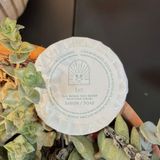Luz Otel Tipi Sabun 100 Adet 15 Gram Pileli Tek Kullanımlık Mini Buklet Temizlik Ürünü