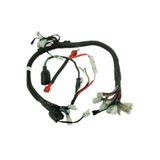 L&W Cg Elektrik Tesisatı Tüm Marka Model Cgler Için Uyumludur(5 FİŞ)