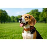 LWA Leather Hakiki Eskitme Deri Köpek Tasması - El Yapımı Ayarlanabilir Lüks Deri Evcil Hayvan Tasması - Kahverengi