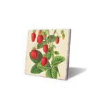 Lwp Shop Dağ Çilekleri Nihale