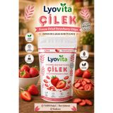Lyovita Dondurularak Kurutulmuş (Freeze Dried) Çilek 20 g
