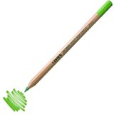 Lyra Rembrandt 068 Moss Green Sulu Boya Kalemi