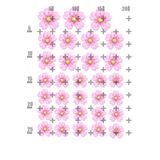 Lyroni Yenilebilir Şeker Kağıt Sakura Çiçeği Temalı Pasta Süsleme