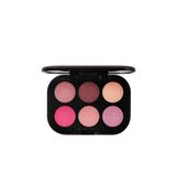M.A.C Yeni Formülü İpeksi Dokusu İle Mat ve Işıltılı Göz Far Paleti-Rose Lens MacNew8