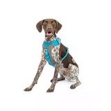 M Beden Journey Air Köpek Koşum Takımı, Mavi/Gri