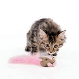 M-Pets Fare 17x7x4 cm Karışık Renkli Kedi Oyuncağı
