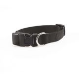 M-PETS JOLLY KÖPEK BOYUN TASMASI BLACK (M)