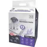 M-Pets Lavantalı Köpek Çiş Eğitim Pedi 90X60CM 30LU - Çok Renkli