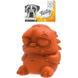 M-PETS REX ÖDÜL HAZNELİ KAUÇUK KÖPEK OYUNCAĞI ORANGE