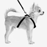 M-Pets Secura Harness 56x71 cm M Köpek Göğüs Tasması Seti