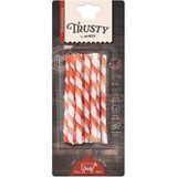 M-Pets Trusty Beef Twisted Sticks Köpek Ödülü 10LU 55 gr - 10 Adet