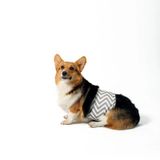 M-Pets Yıkanabilir 73x86 cm XXL Erkek Köpekler İçin Külot Bez