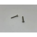 M2x20 Ysb Minik Mikro Vida A2 Inox 10 Adet